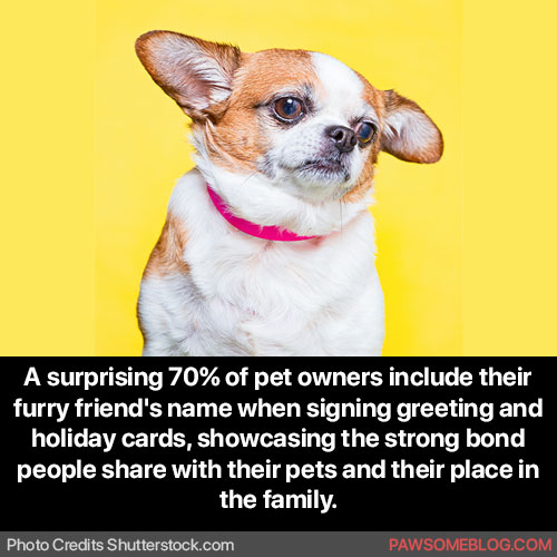 Pets as Family – Including Their Names on Holiday Cards
