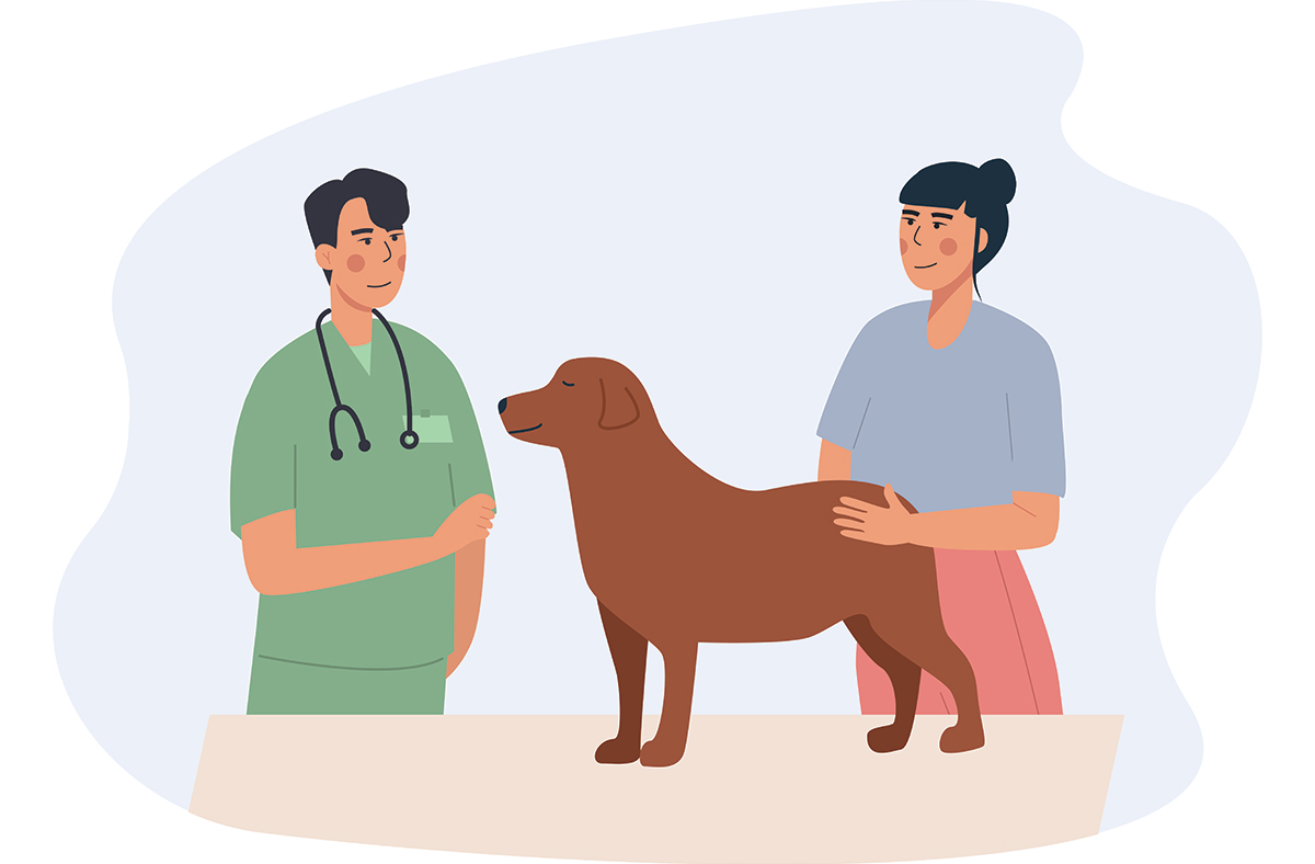 Addison’s disease in dogs: How to spot, treat and prevent